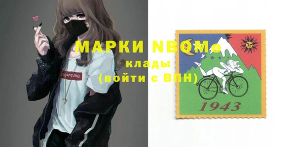 индика Бронницы