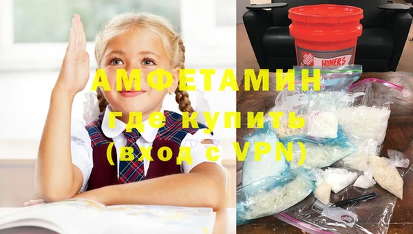 индика Бронницы