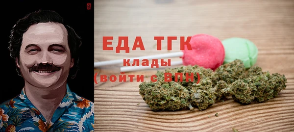 индика Бронницы